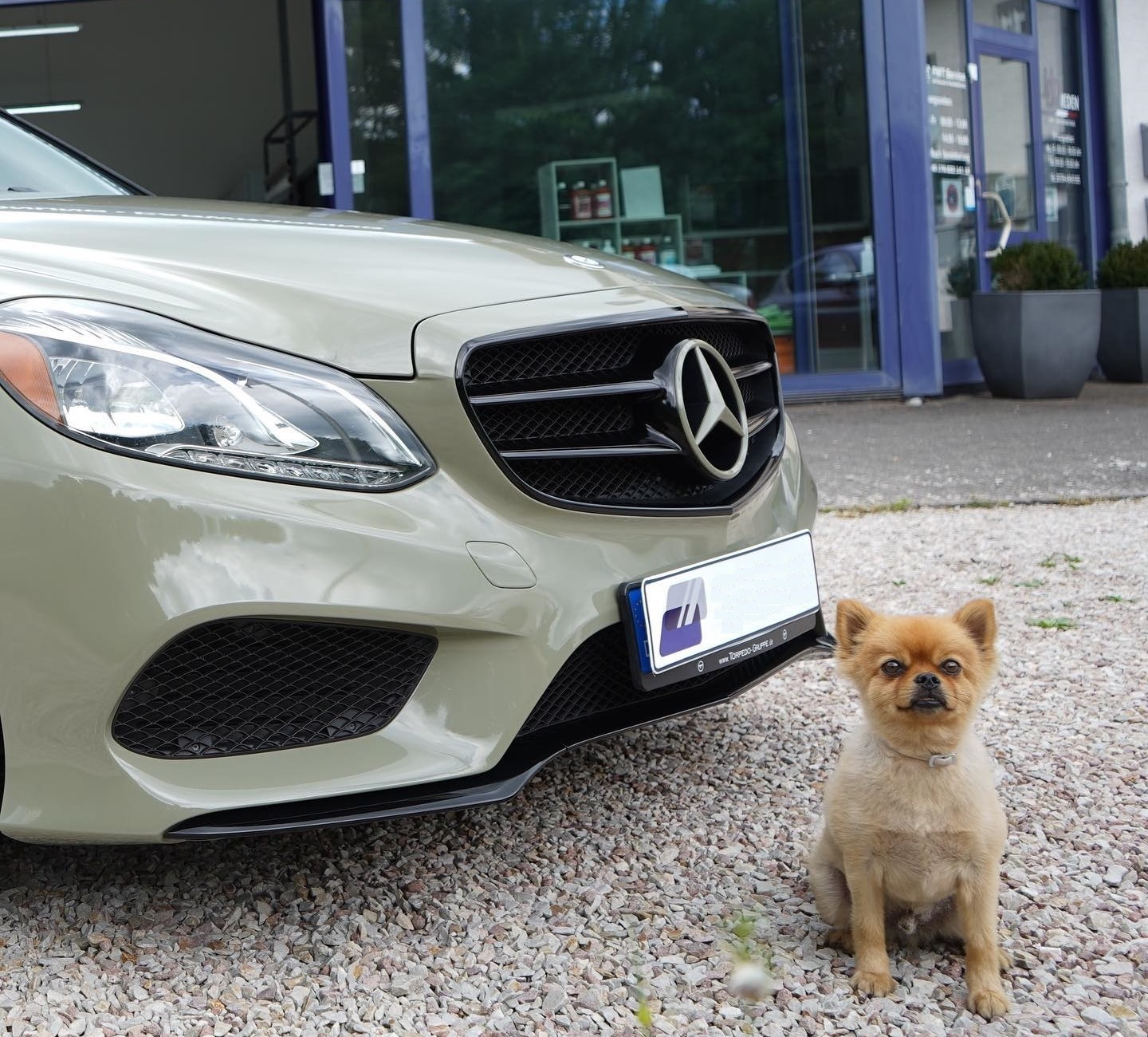 Car Wrapping Folierung Winterthur car wrapping folierung winterthur